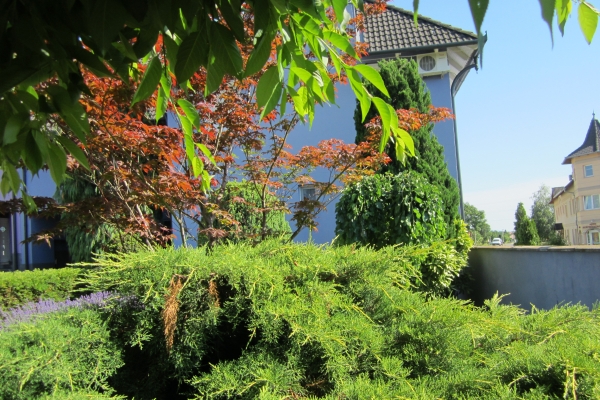 Hotel Seva Családi Panzió Seva Panzió (Kozármisleny)